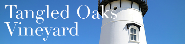 Logo for Tangled Oaks Vineyard